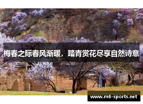 梅春之际春风渐暖，踏青赏花尽享自然诗意