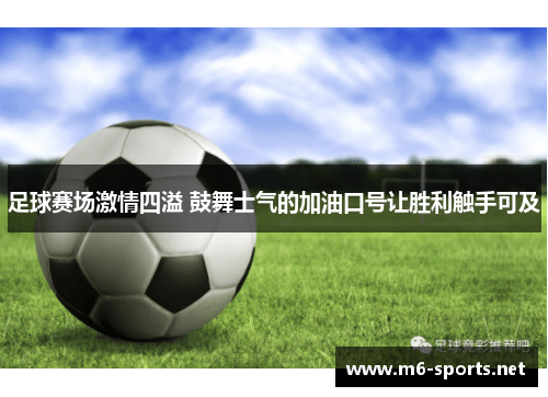 足球赛场激情四溢 鼓舞士气的加油口号让胜利触手可及