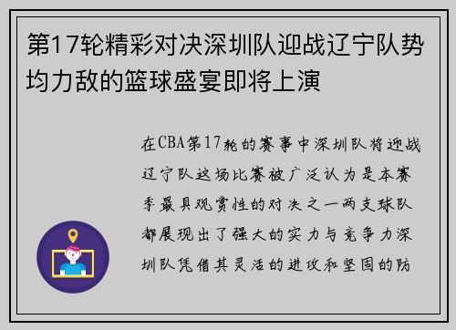 第17轮精彩对决深圳队迎战辽宁队势均力敌的篮球盛宴即将上演